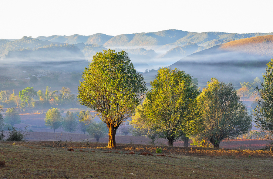 314 HD MYANMAR fevrier 2011 photo Benoit GOUSSU